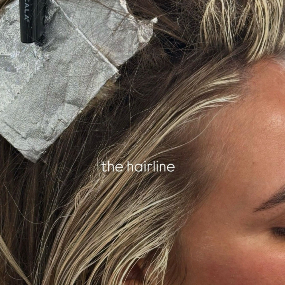 Money Piece + Gloss + Cut at Legally Bronde Hair Studio in Springfield, MO