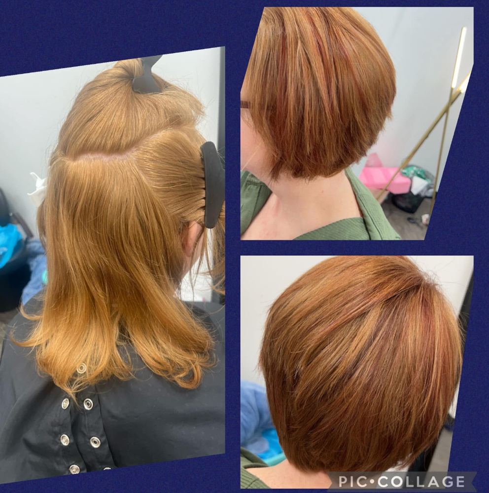 Womens Haircut W/ Shampoo And Style