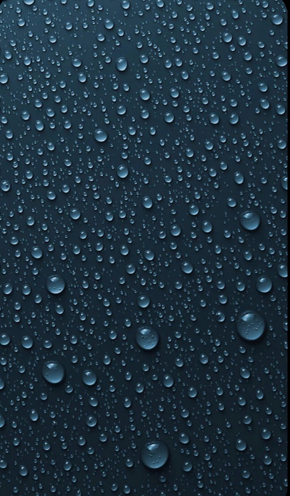 Wet Set