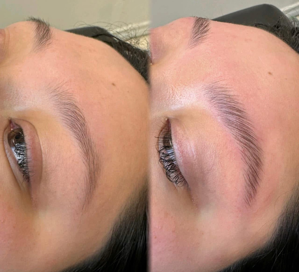 brow trio (lami, wax, tint)
