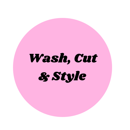 Wash, Cut & Style