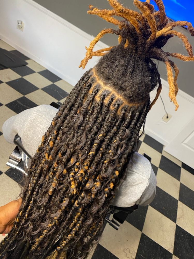 BRAIDS OVER LOCS