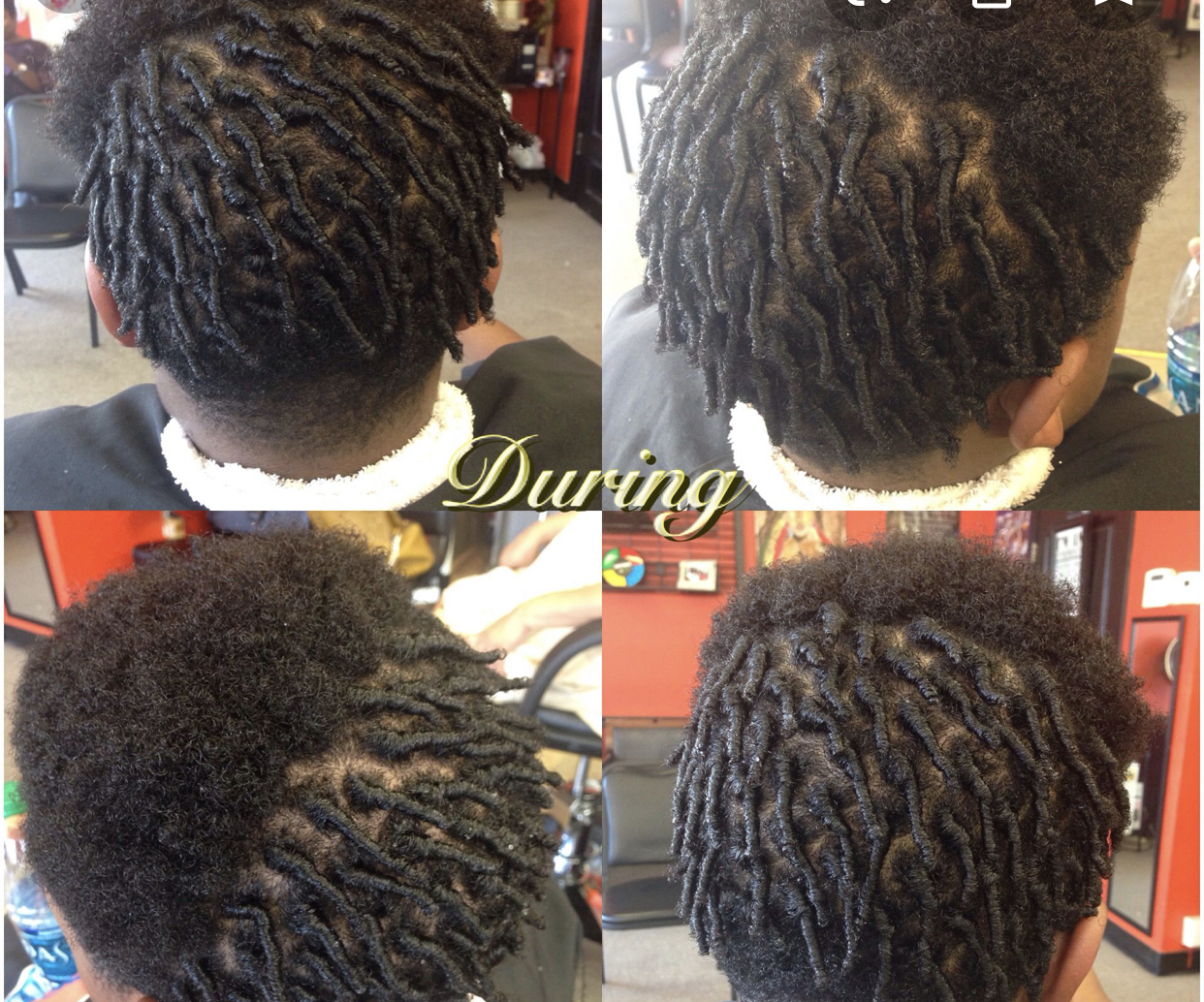 Starter dreads Twist