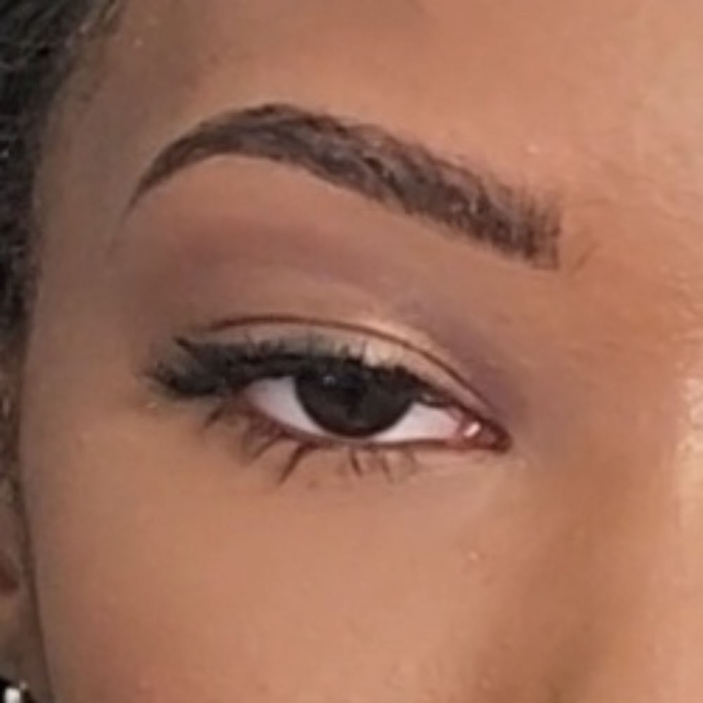Brow Fill In with Lash Strip at Rochelle Austin MUA/ Brow Tinting Artist in Mobile, AL