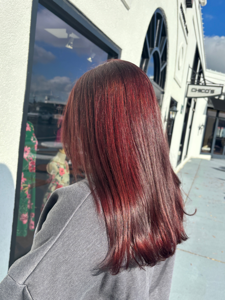All Over Color & Haircut