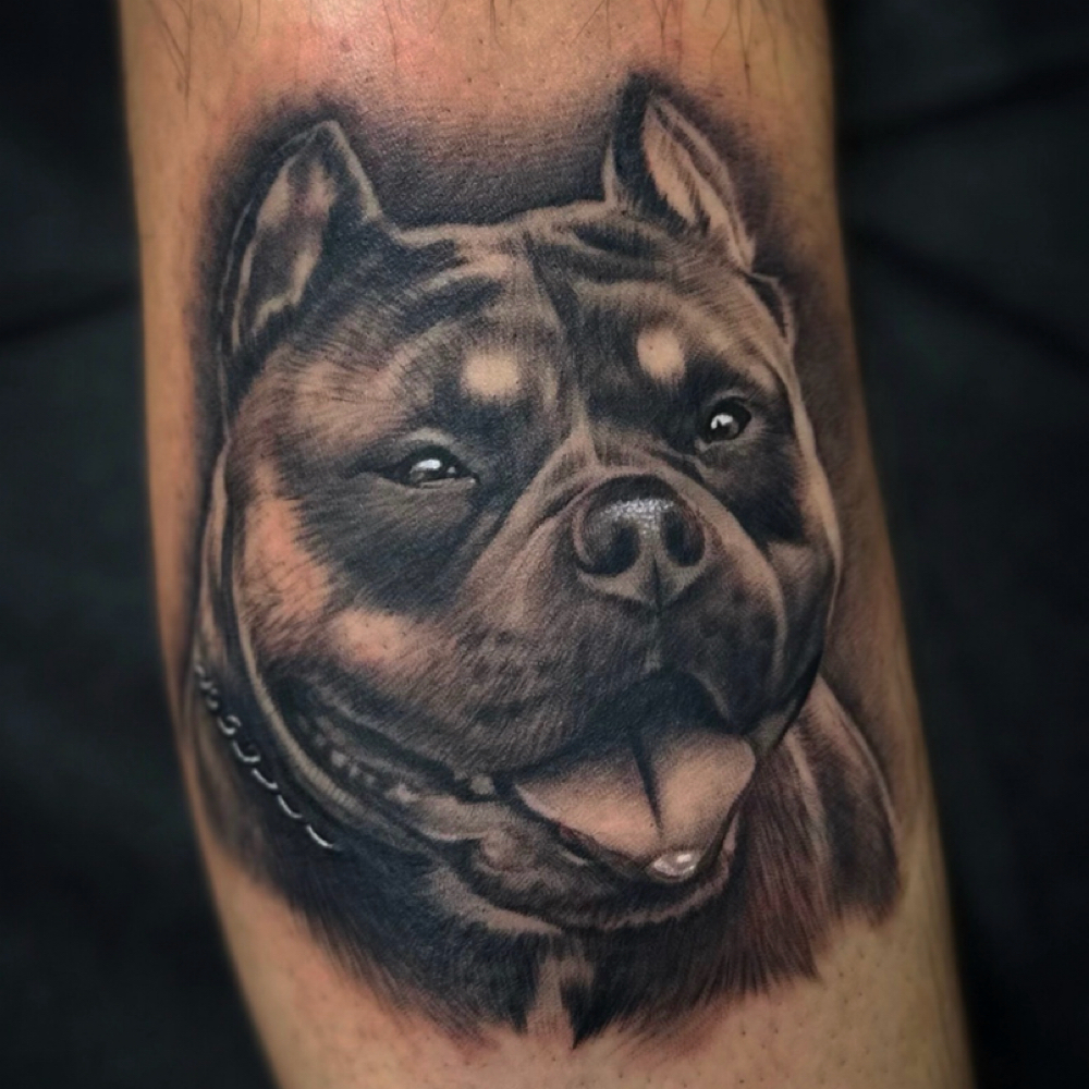 Pet Portrait at Revision Body Art in Covina, CA