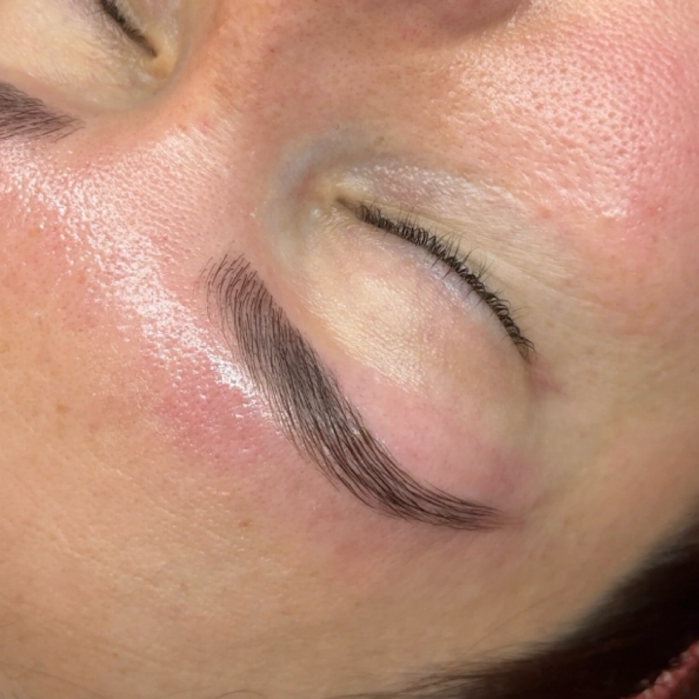 Brow Lamination at Tampa Lash Studio in Tampa, FL