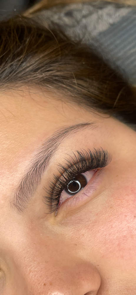 Full Set (Light Volume|Volume)