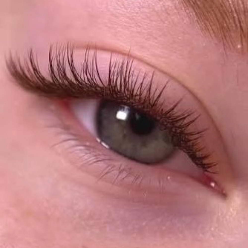 Lash Model-Brown Set at Issela Esthetics By Jaden in Avon, NY
