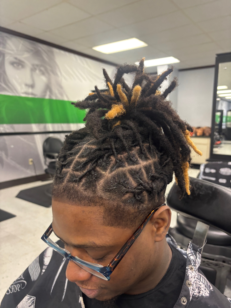 Retwist, Line Up And Freestyle at Z.TheHairScientist in Jacksonville, FL