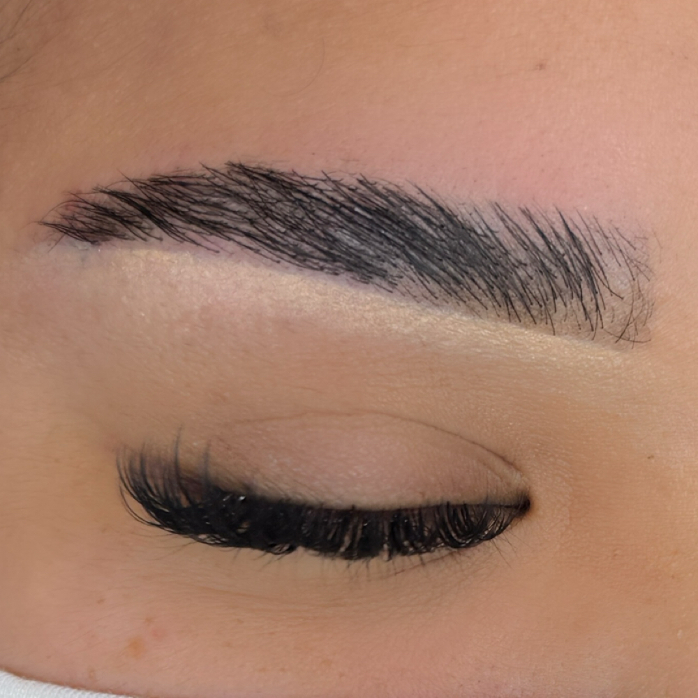 Eyebrow Lamination, Shape & Tint