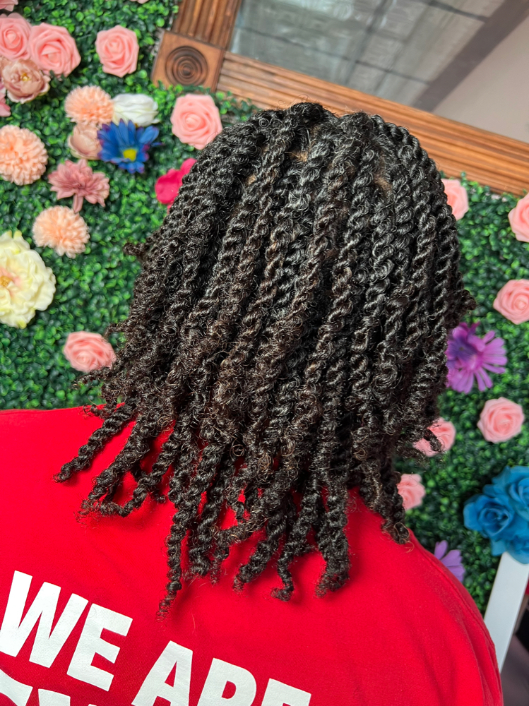 Starter Locs - Hand Twist