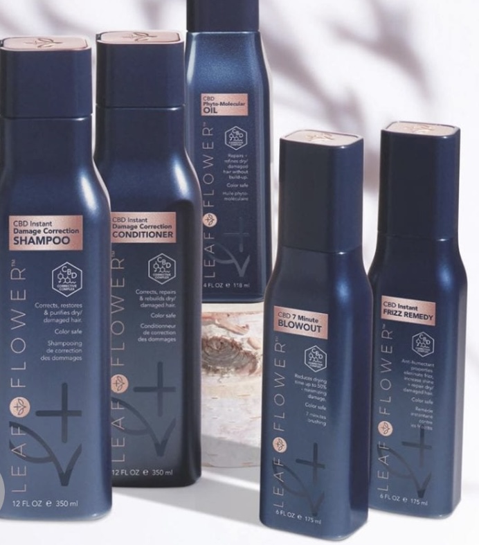 Luxury Leaf And Flower Blowout at Ellie's Elevated Hair Solutions at Bowie and Byers Salon in Fort Worth, TX