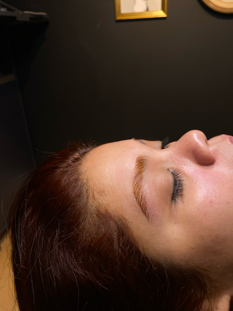 Eyebrow Lamination + Wax