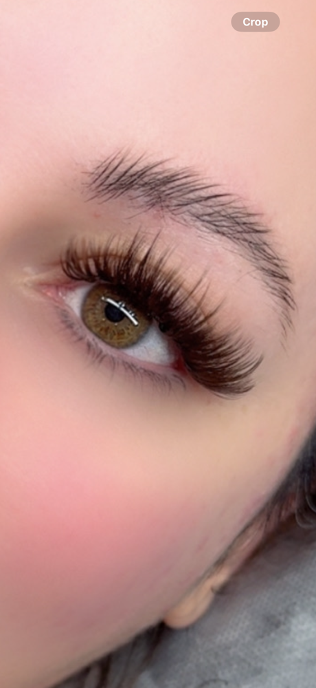 Wispy Spike Lash Set