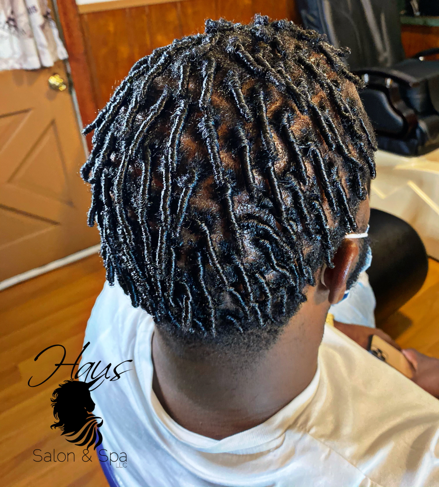 Starter Locs (coils)