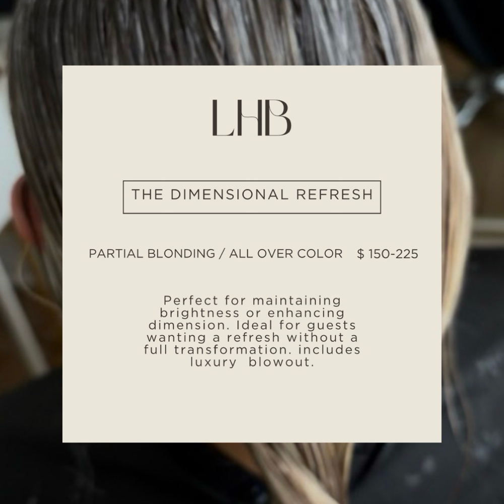 PARTIAL BLONDING/ ALL OVER COLOR at Lucianas Hair Boutique in Schaumburg, IL