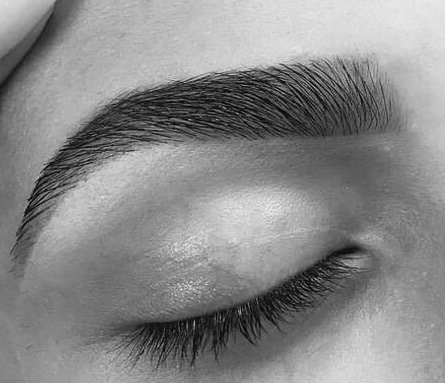 Shape + Tint