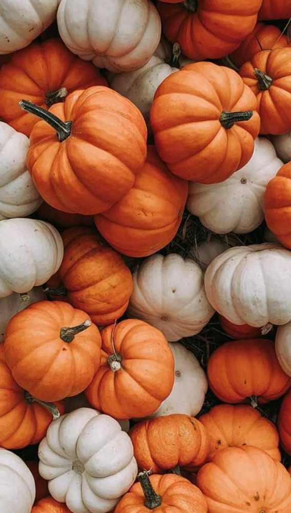 Pumpkin Spice Facial