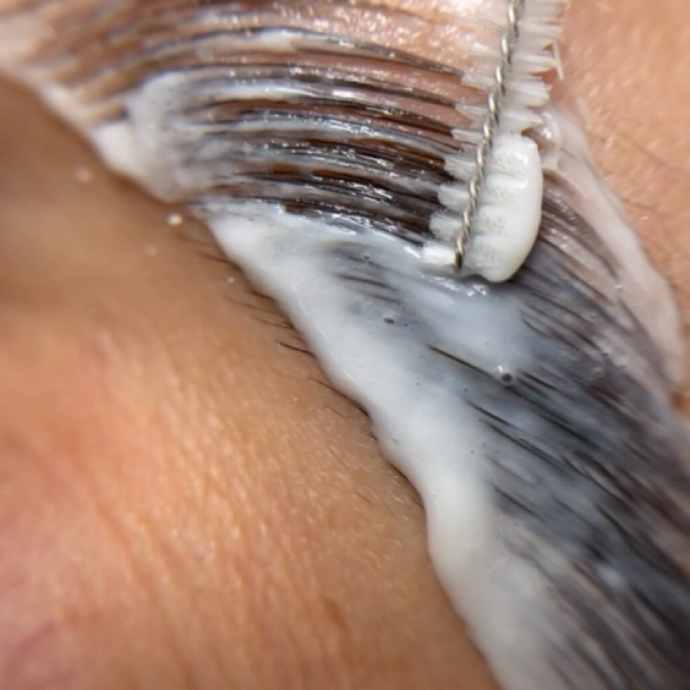 Brow Lamination June 17th (Model) at The Hair & Waxing Lounge in Guymon, OK
