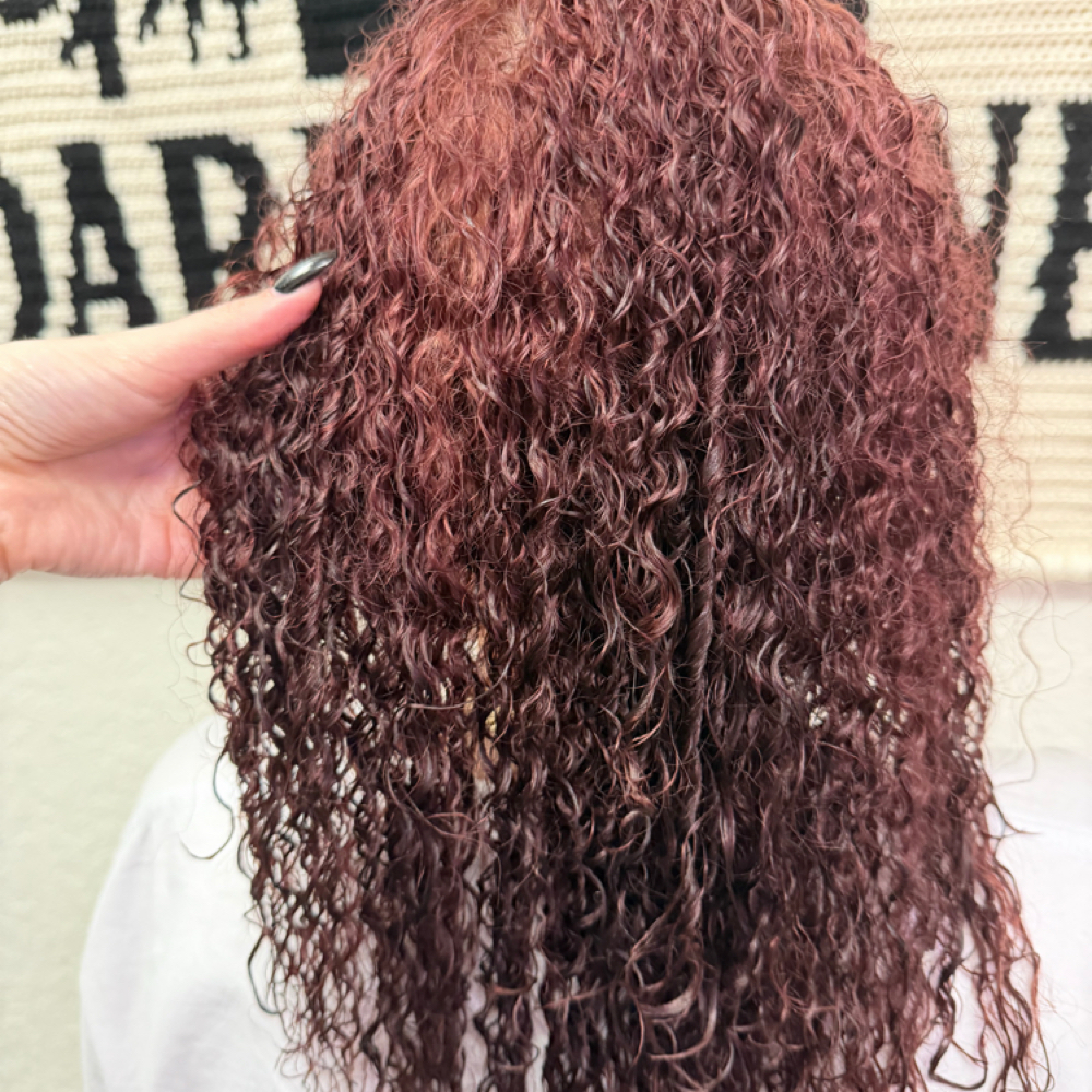 Double Perm at Dark Mane Studio LLC in Plant City, FL