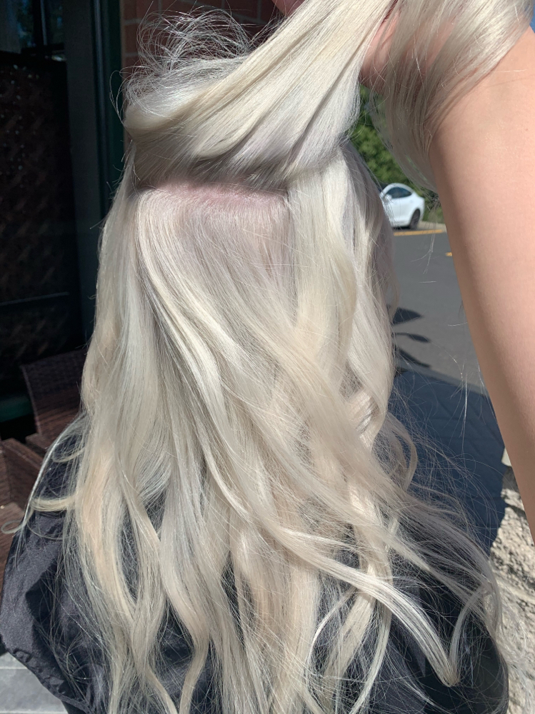 Global Blonding w/ Cut