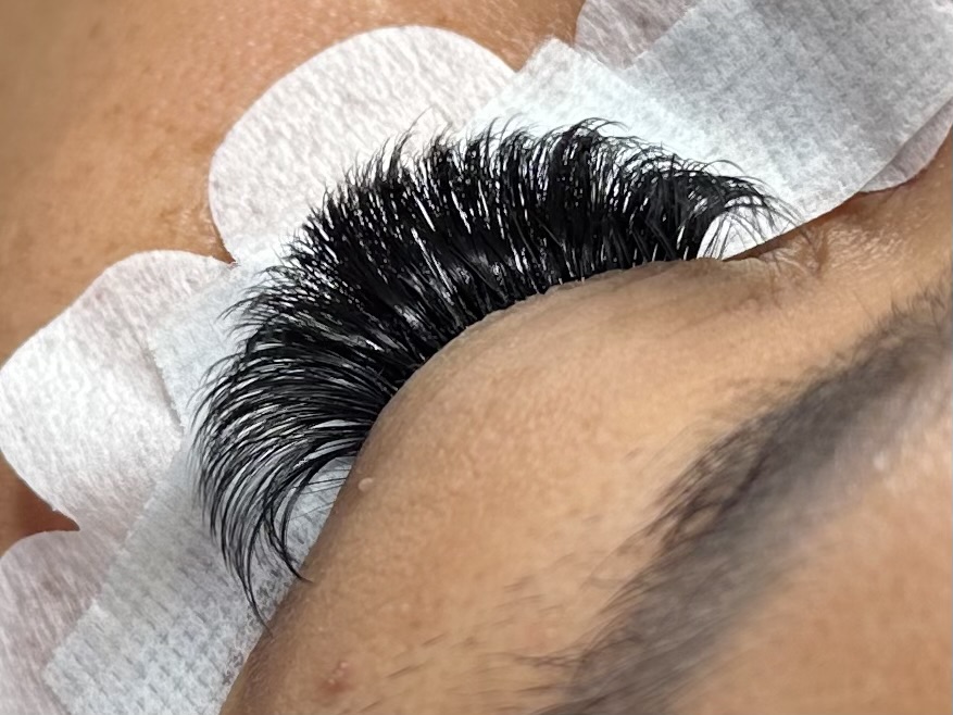 Volume Lashes
