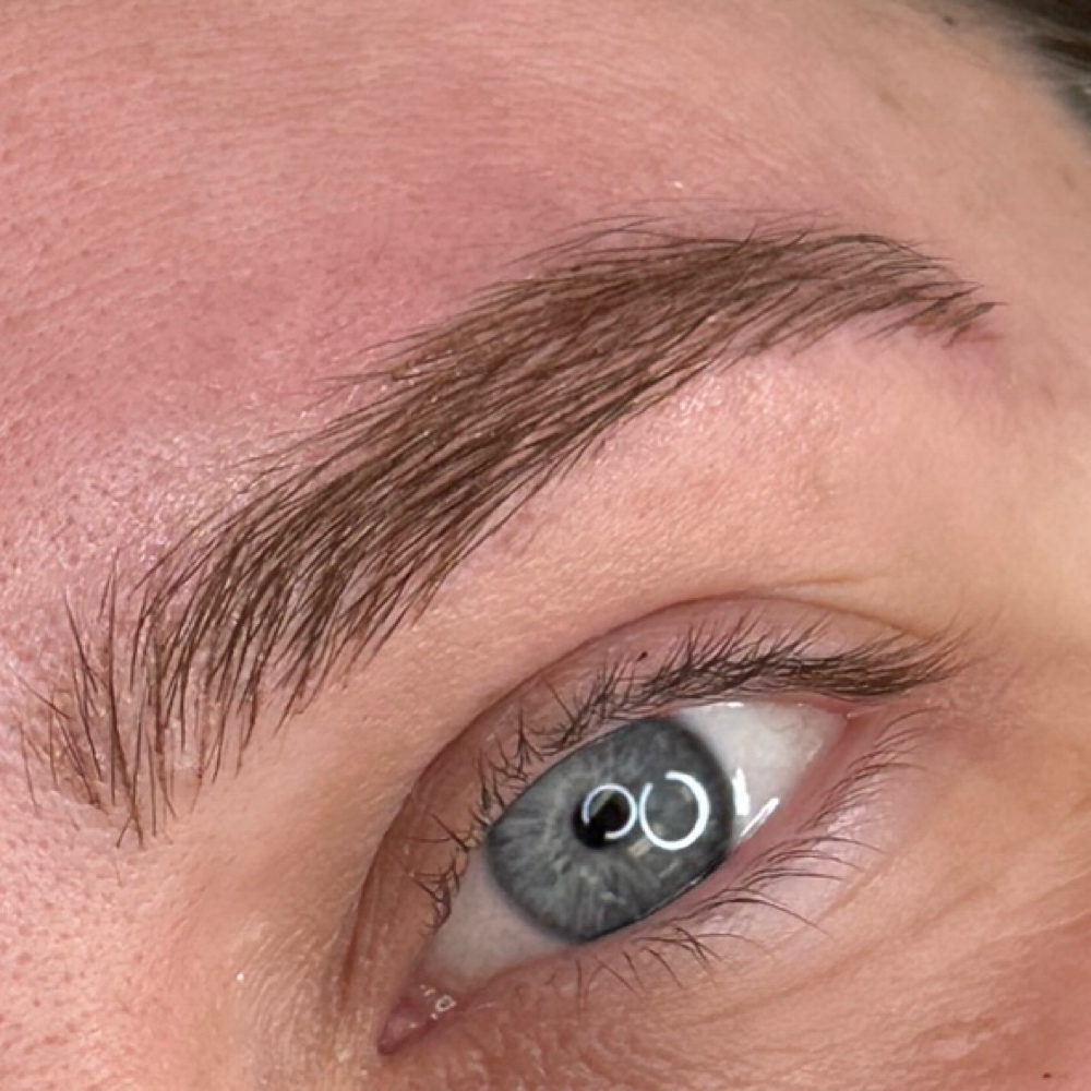 Nano Brow PMU at The Lash Specialist in Warwick, NY