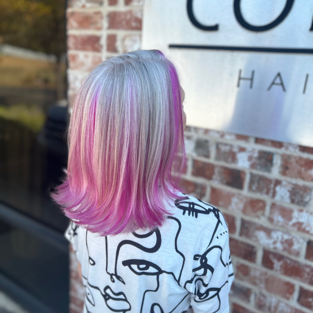 Basic Blow Dry with Color at Colorize Hair Studio in Gluckstadt, MS