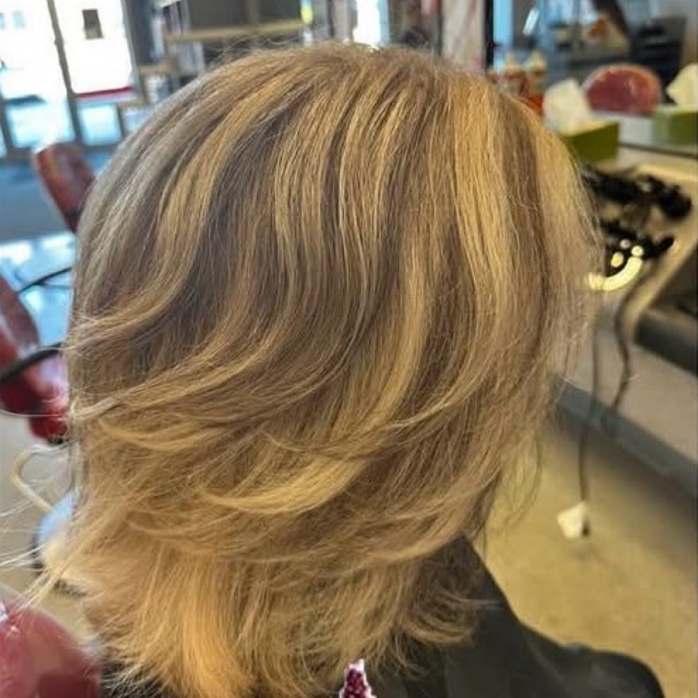 Partial Highlight at Styled by Trinity LLC in Portage, WI
