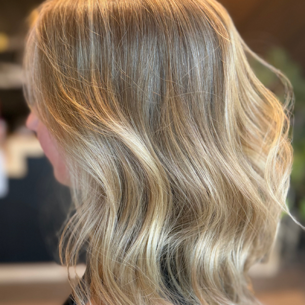 August: Partial + Haircut Package at Olivia Howe - Lush Salon in Bend, OR