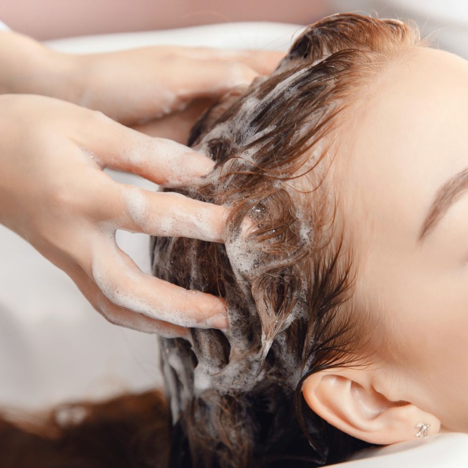 Women's Haircut & Shampoo at The Hair Hub Tampa in Tampa, FL