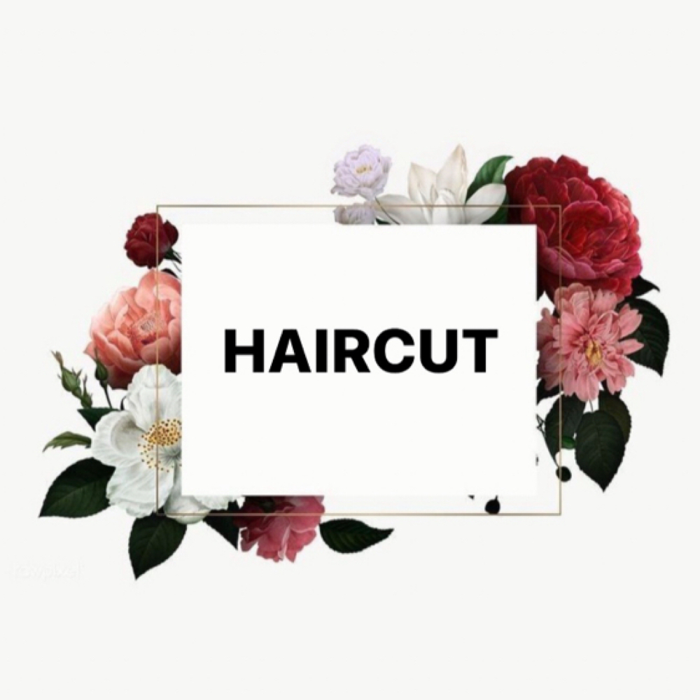 Haircut at Hair By Sarah Glass LLC in Littleton, CO