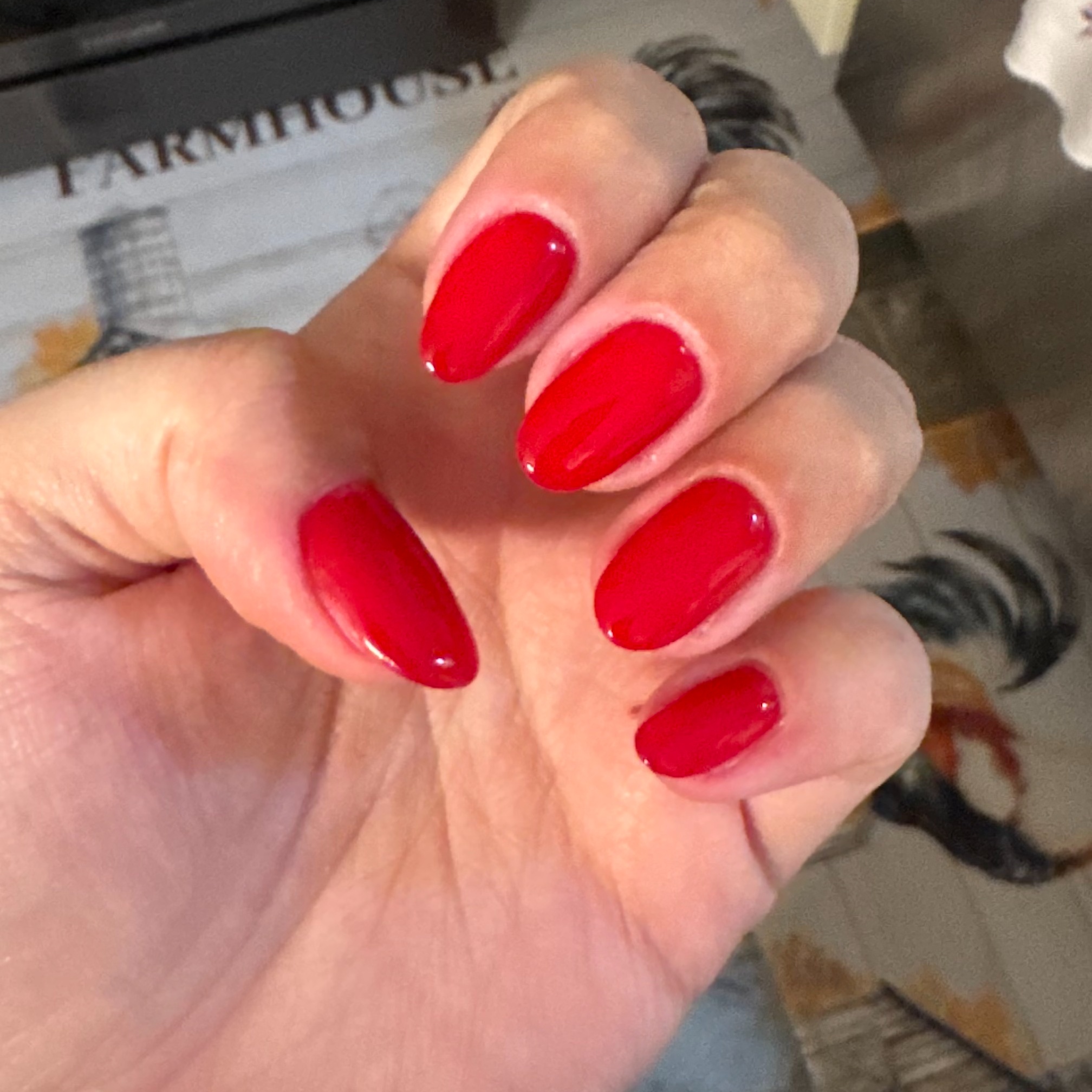 Gel Manicure at Gypsy Nails in Liverpool, NY