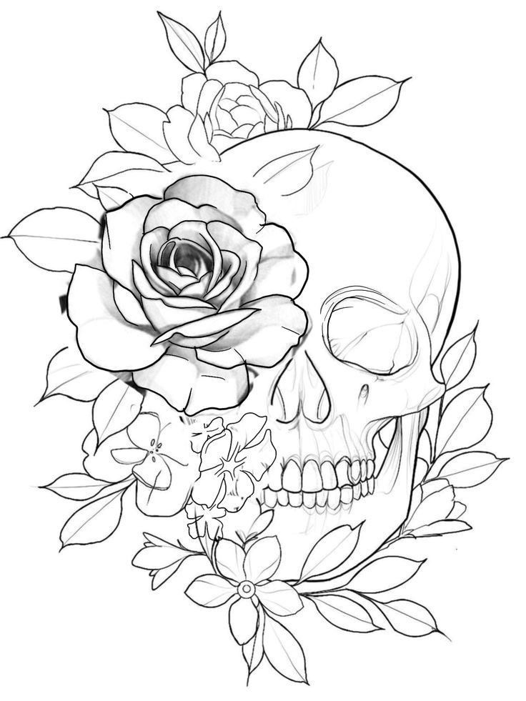 Skull