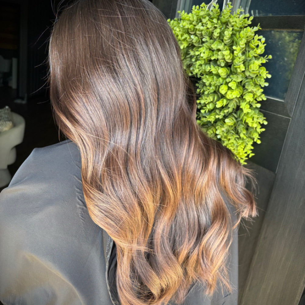 gloss (toner) + haircut at beautybykaelynpaige in Benton, AR