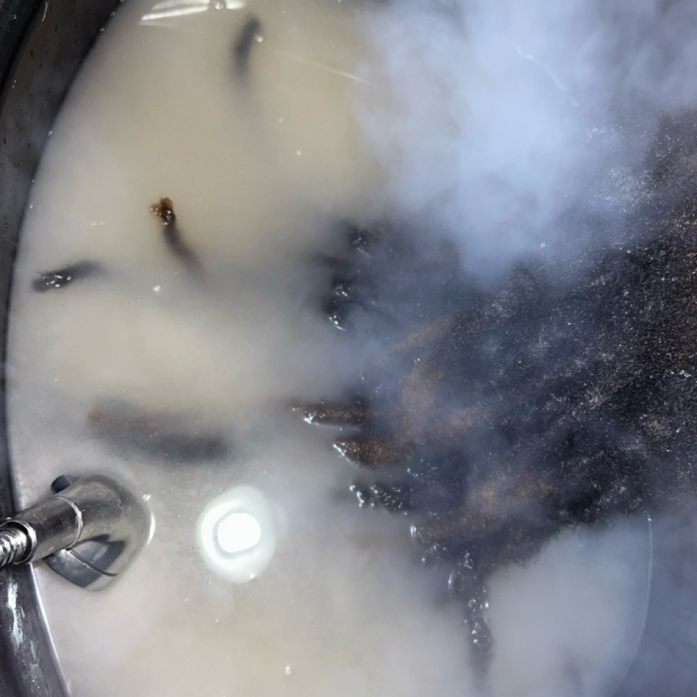 Signature Detox [Locs]