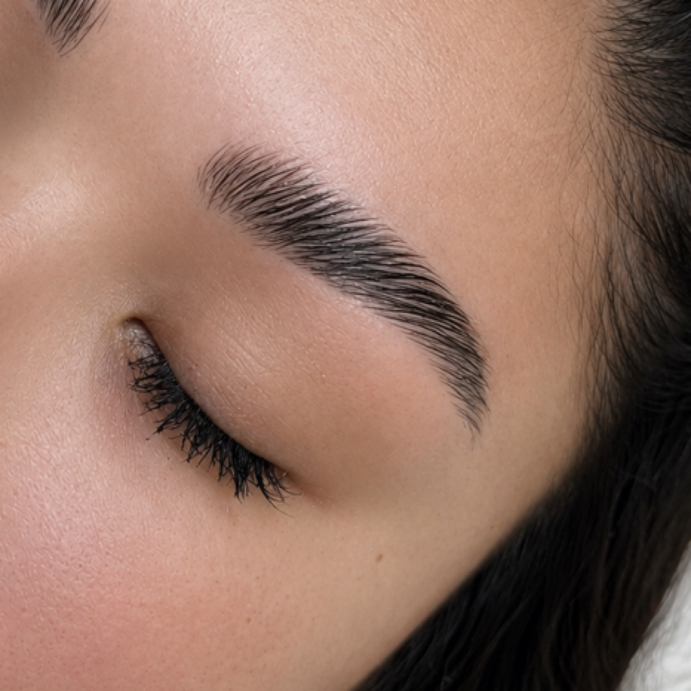 Brow Tint + Lamination + Wax at Rose Gold Lash in Centerline, MI