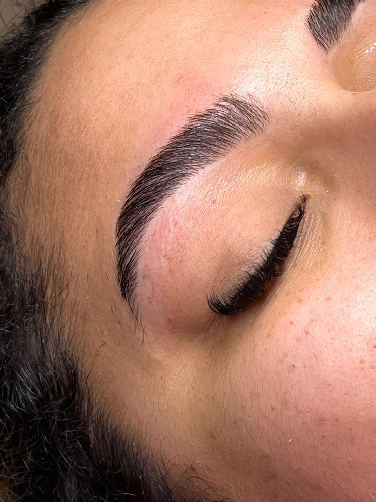 Brow Tint + Lamination + Wax