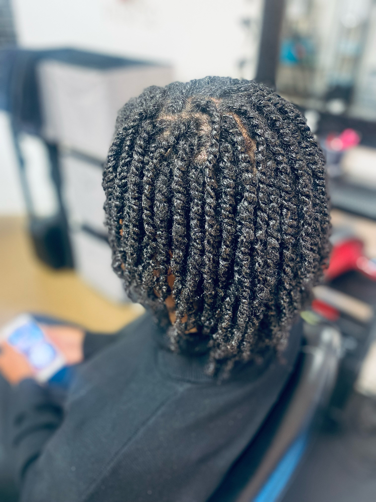 Two Strand Twist-Natural Hair Twist