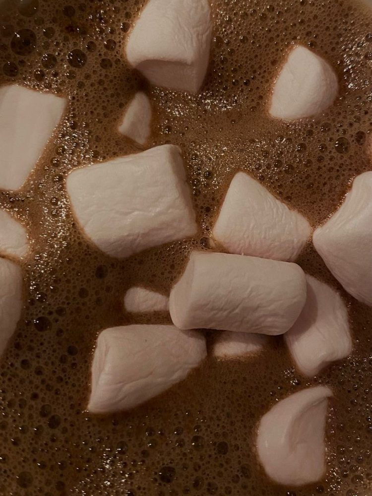 Hot Cocoa Enzyme 🌲✨🤎
