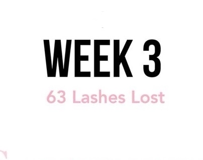 3 Week Lash Fills