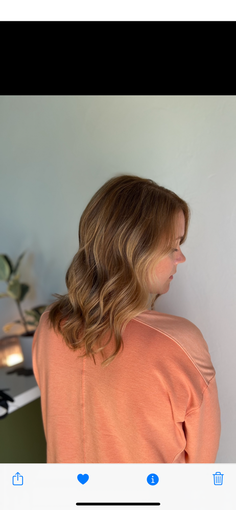Root Touch Up + Gloss