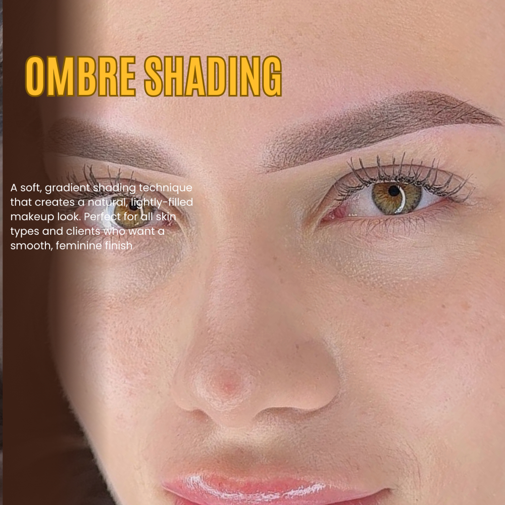 Ombre Shading - $250 at Christina brows in Monroe, GA