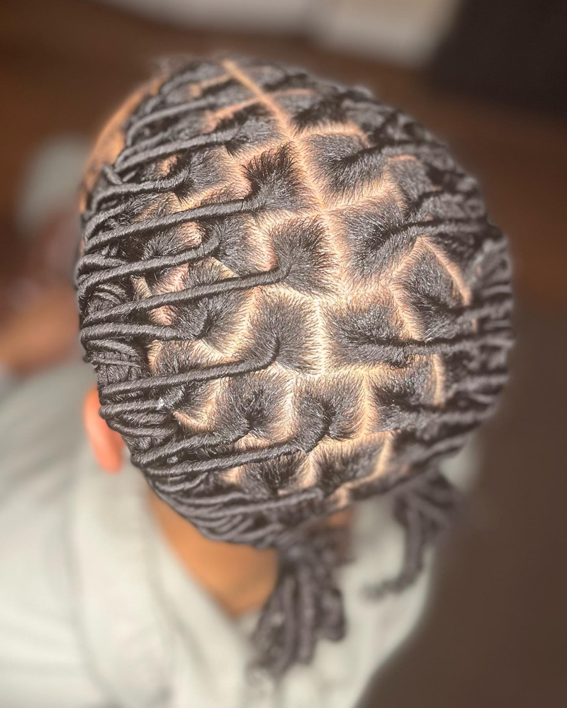 Starter Locs (large)