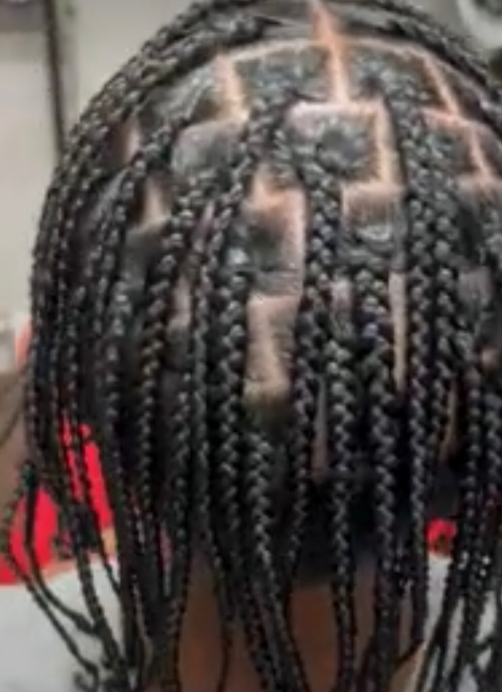 Med Plait Braids Natural