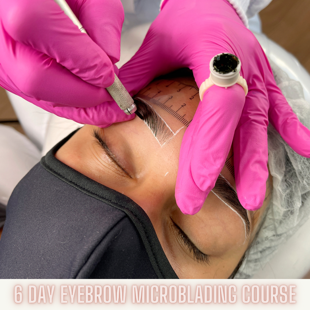 6 DAY MICROBLADING COURSE
