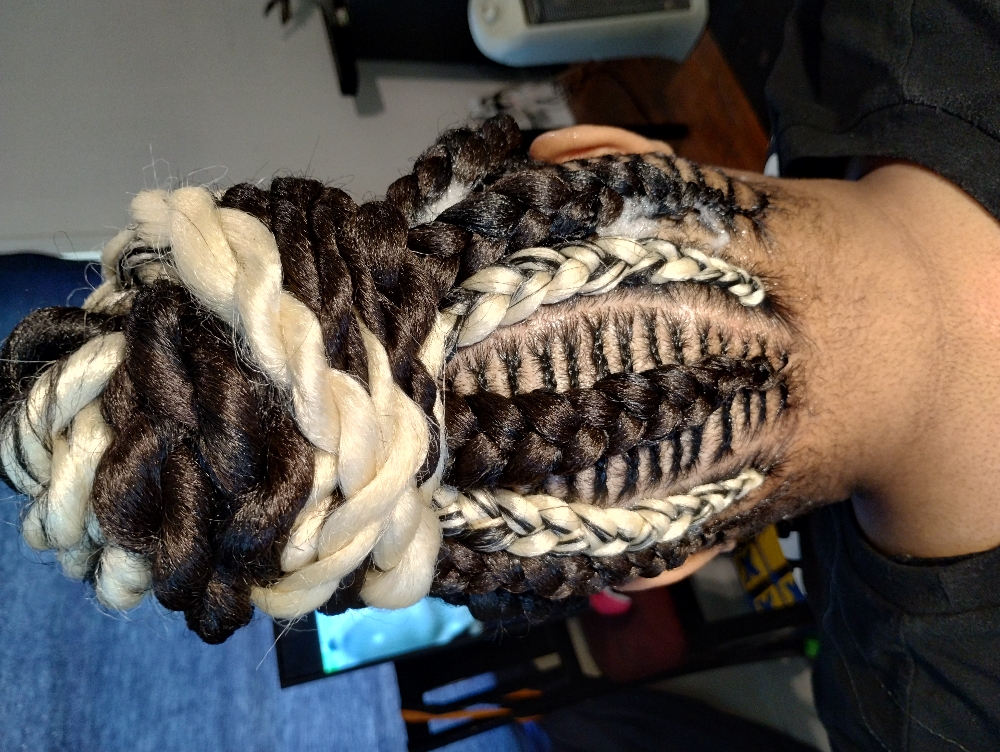 Braid Styles