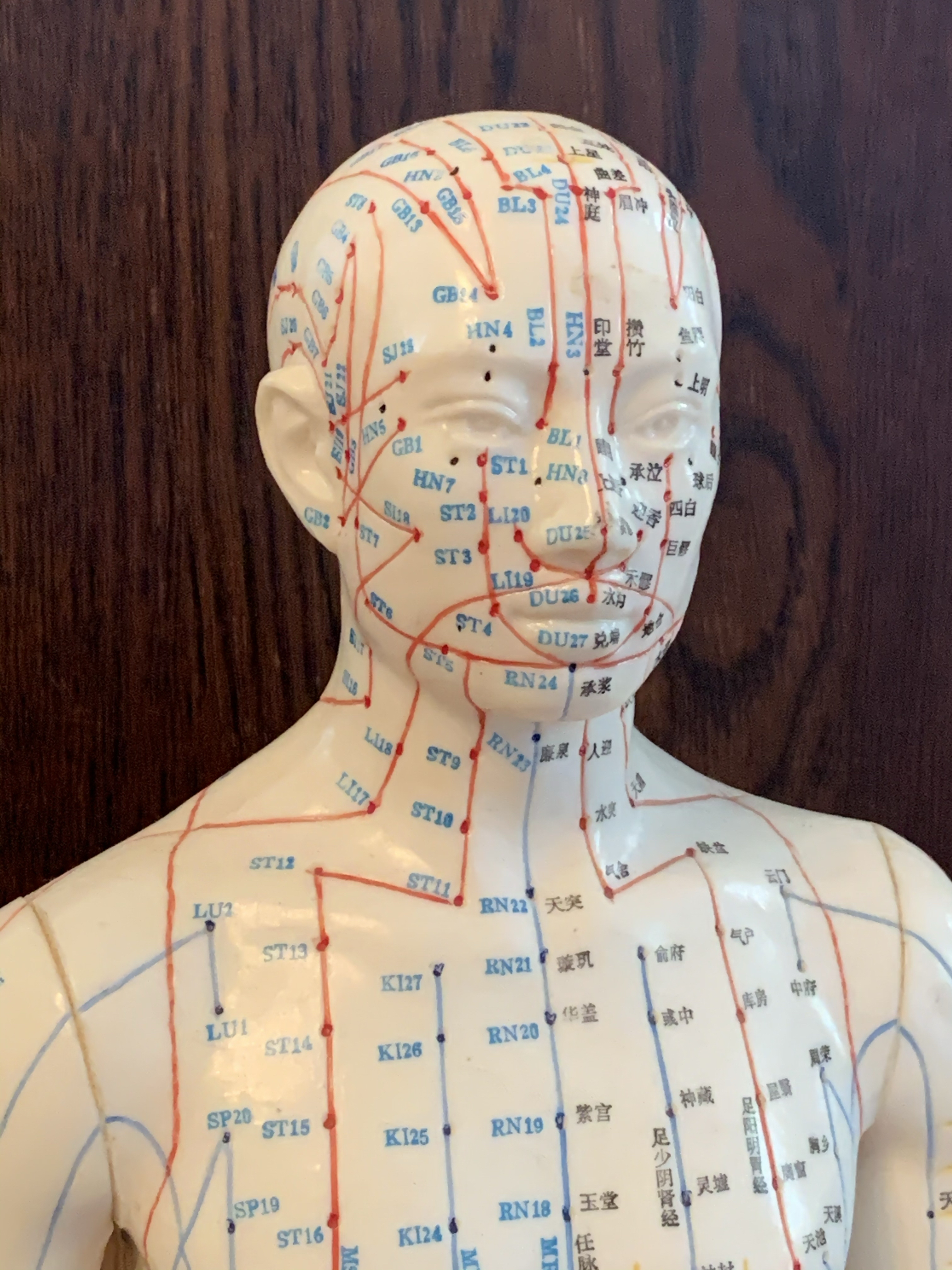 First Time Patient - Acupuncture