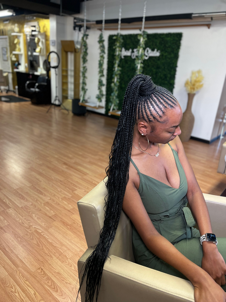Braided Pony